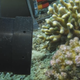 Imagen vía: Instituto de Oceonografía Scripps.